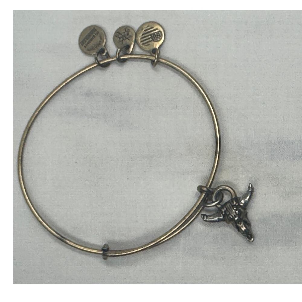 Alex and Ani Spirited Skull‎ Charm Bangle, signed, western, long horns